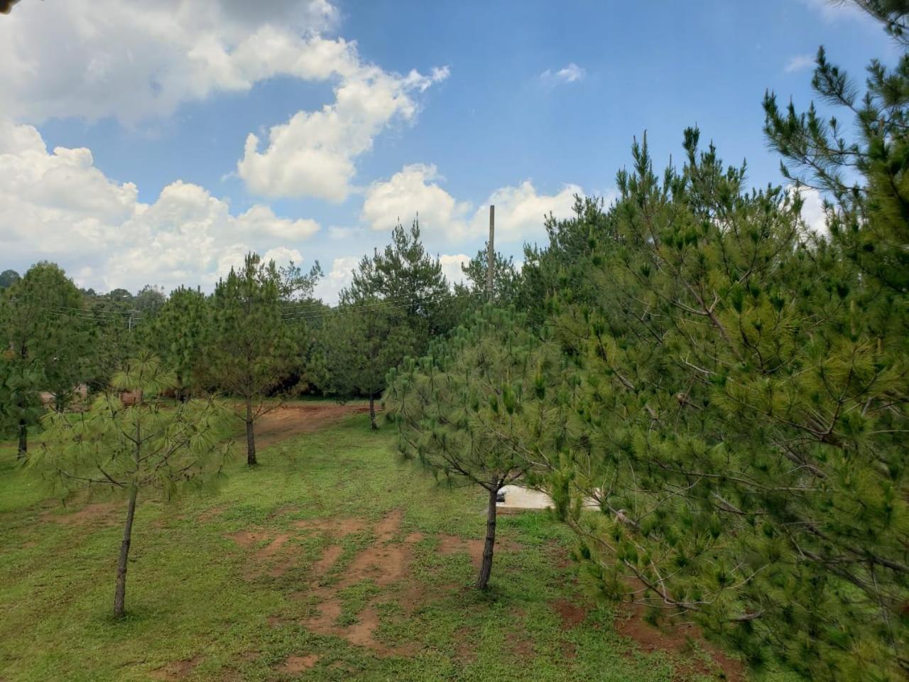 Cabanas Paseo Del Llano Mazamitla Kültér fotó